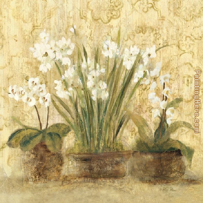 Esprit Narcissus and Orchid